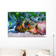 Oscar Fish Aquarium Wall Mural