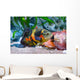 Oscar Fish Aquarium Wall Mural
