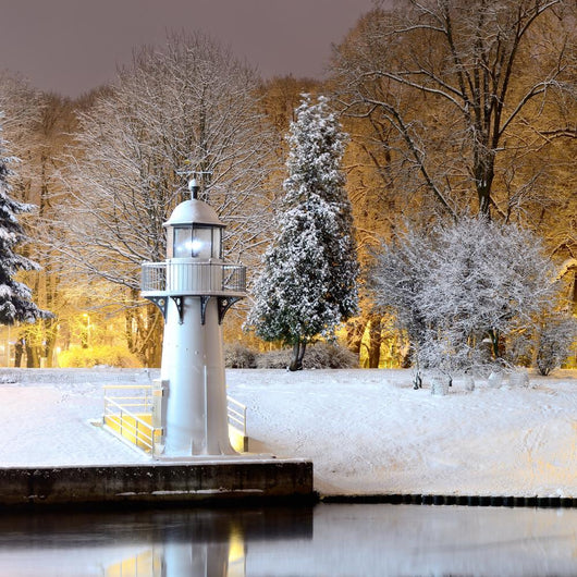 Snow Trees Riga Park
