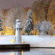 Snow Trees Riga Park