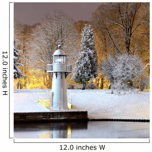 Snow Trees Riga Park