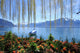 Springtime Geneva Lake Montreux Wall Mural