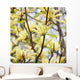 yellow flowers. magnolia tree blossoms Wall Mural