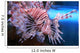 Lion Fish Wall Mural