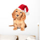 Dachshund Puppy Wall Decal