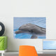 Dolphin Coming up for Wall Mural