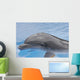 Dolphin Coming up for Wall Mural