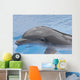 Dolphin Coming up for Wall Mural