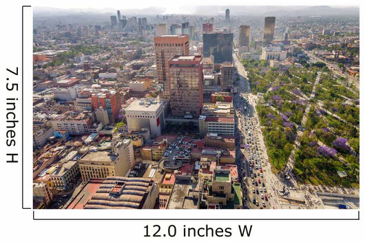 Mexico City Cityscape