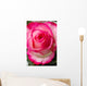 Beautiful pink rosesbud Wall Mural