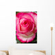 Beautiful pink rosesbud Wall Mural