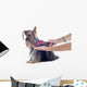 Grooming Yorkshire Terrier Wall Decal