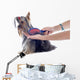 Grooming Yorkshire Terrier Wall Decal