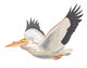 Pelican Wall Decal