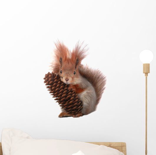 squirrel Wall Decal