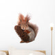 squirrel Wall Decal