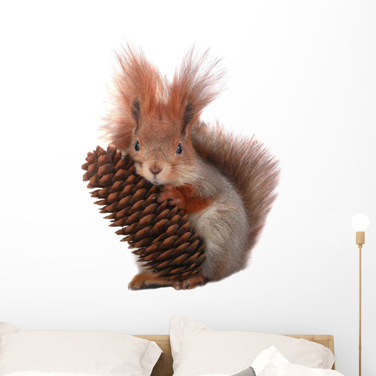 squirrel Wall Decal