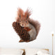 squirrel Wall Decal