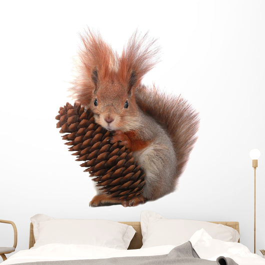 squirrel Wall Decal