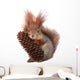 squirrel Wall Decal