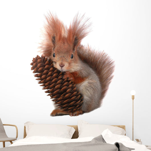 squirrel Wall Decal