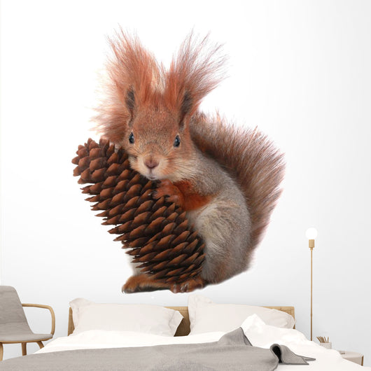 squirrel Wall Decal