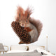 squirrel Wall Decal