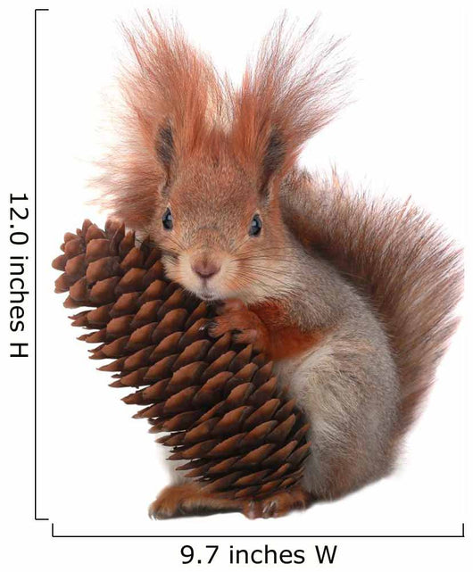 squirrel Wall Decal