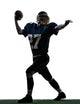 Quarterback American Throwing Football Wall Mural