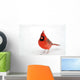 Northern Cardinal Snow