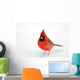 Northern Cardinal Snow