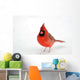 Northern Cardinal Snow