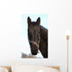 Cheval Wall Mural