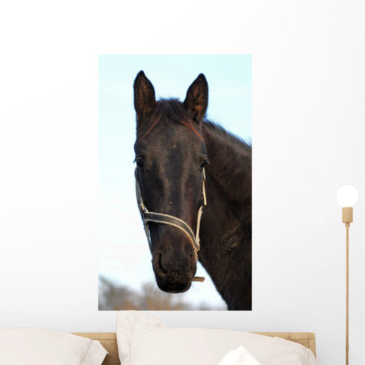 Cheval Wall Mural