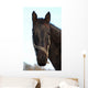 Cheval Wall Mural
