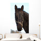 Cheval Wall Mural