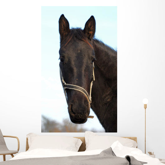 Cheval Wall Mural
