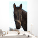 Cheval Wall Mural