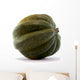 Acorn Squash White