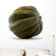 Acorn Squash White