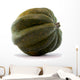 Acorn Squash White