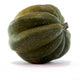 Acorn Squash White
