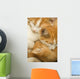 3 kittens Wall Mural