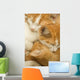 3 kittens Wall Mural