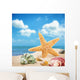 Sea Star and Colorful