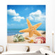 Sea Star and Colorful