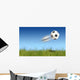 Flying ball Wall Mural