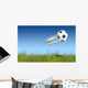 Flying ball Wall Mural