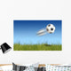 Flying ball Wall Mural