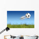 Flying ball Wall Mural